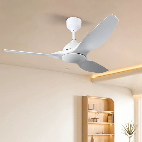 Vanelum Aero 60" Smart Ceiling Fan Light